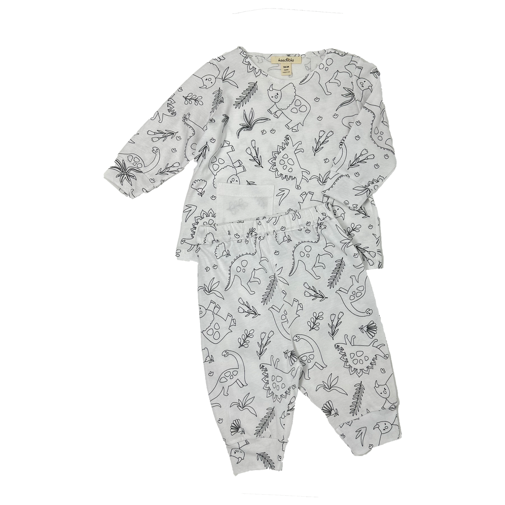 Baby Boys Long Sleeve Dinosaur-printed set