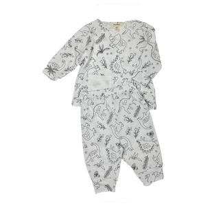 Baby Boys Long Sleeve Dinosaur-printed set