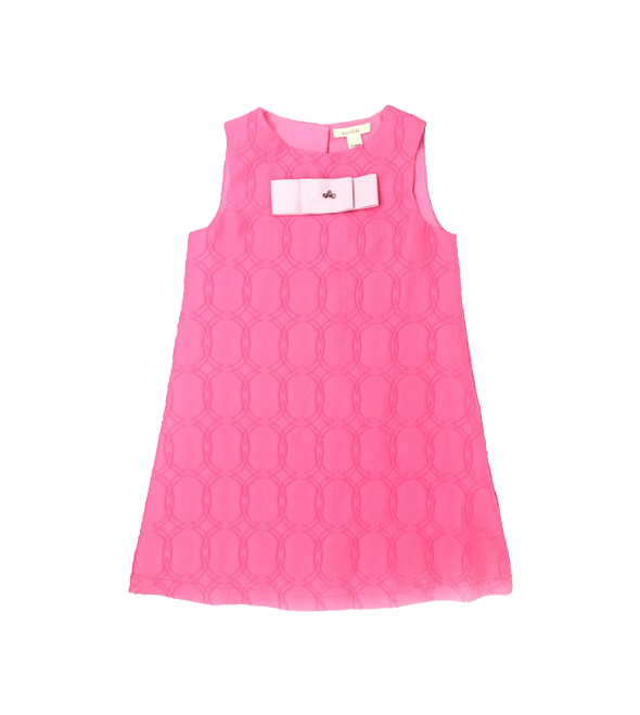 Girls A-line Pink Dress
